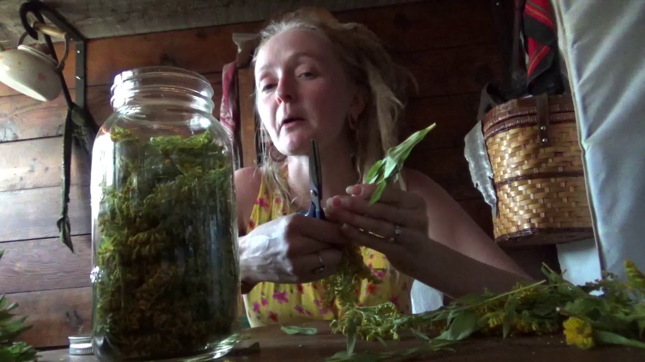 Как приготовить настойку из золотарника!