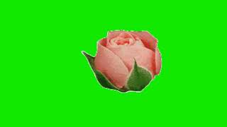 blooming happy flowers cartoon animated cartoon green screen video for youtubers.