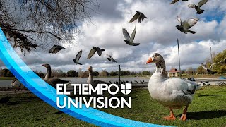 Tiempo en Dallas Texas para esta manana el pronostico del miercoles 27 de abril de 2022