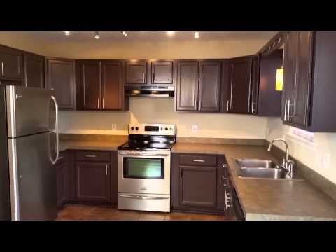 206 White Wing Dr, Columbia, SC home video tour