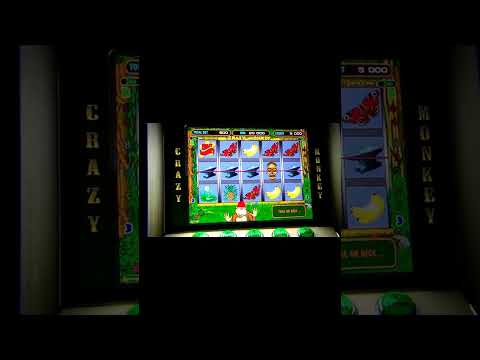 «Играйте в онлайн-слоты Sykaaa Casino сегодня: зеркало для Российской Федерации»