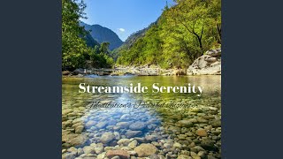 Meditation's Serene Streamside Echoes