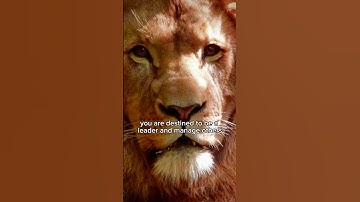 Destiny (Expression) Number 1 in #numerology