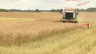 Видео Всесторонняя поддержка сельхозпроизводителям (автор: Altex Media)