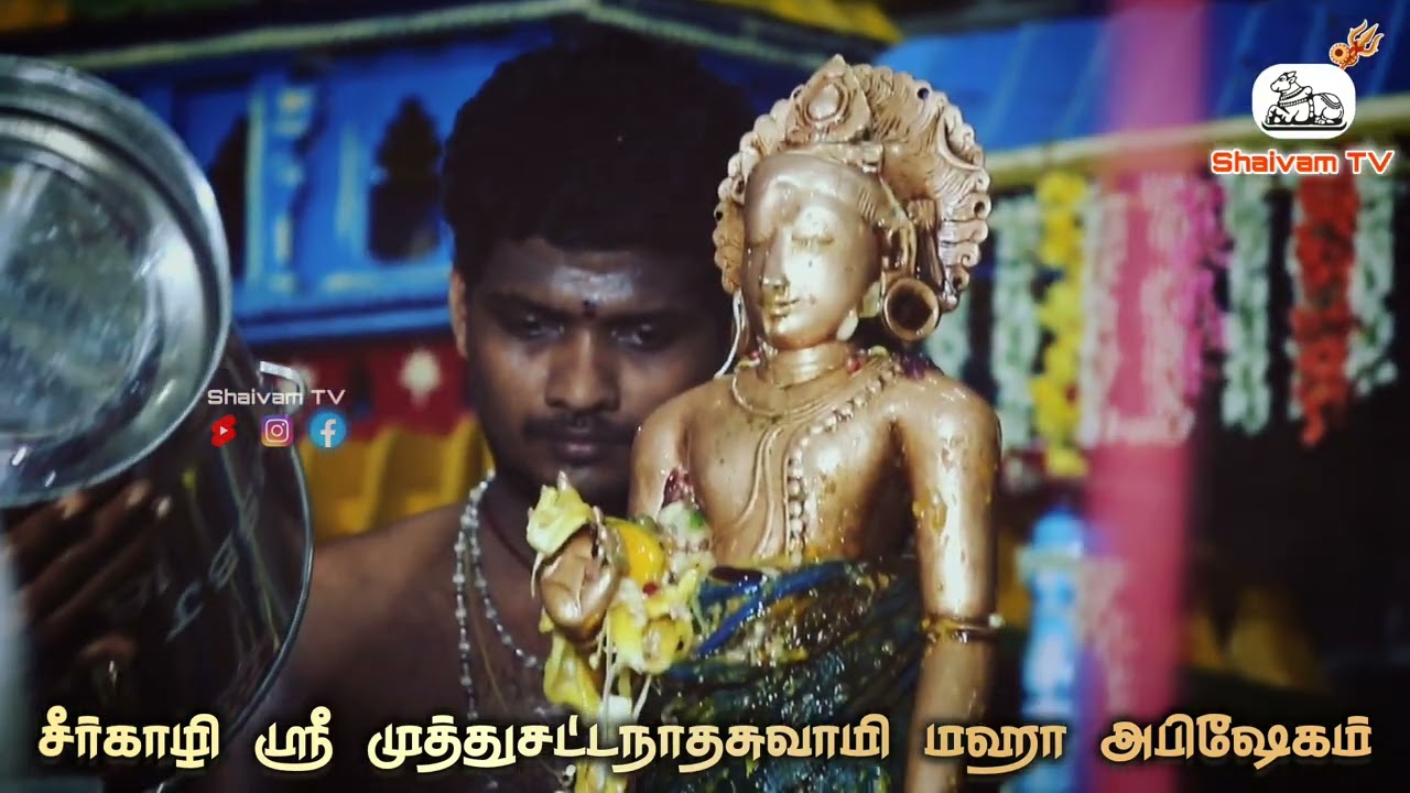 சீர்காழி ஸ்ரீ சட்டநாதசுவாமி மஹாஅபிஷேகம்| Sirkali Sri Sattainathar Swamy Maha Abisega Aarathanai.
