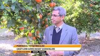 Adan Zye Tarim - Portakal Yeti̇şti̇ri̇ci̇li̇ği̇