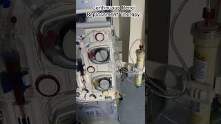 CRRT MULTIFILTRATE PRO | Continuous Renal Replacement Therapy.#virtualreality #crrt #dialysis