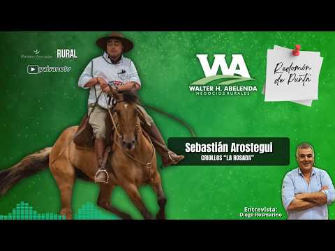 Redomón de Punta - Sierra Serena