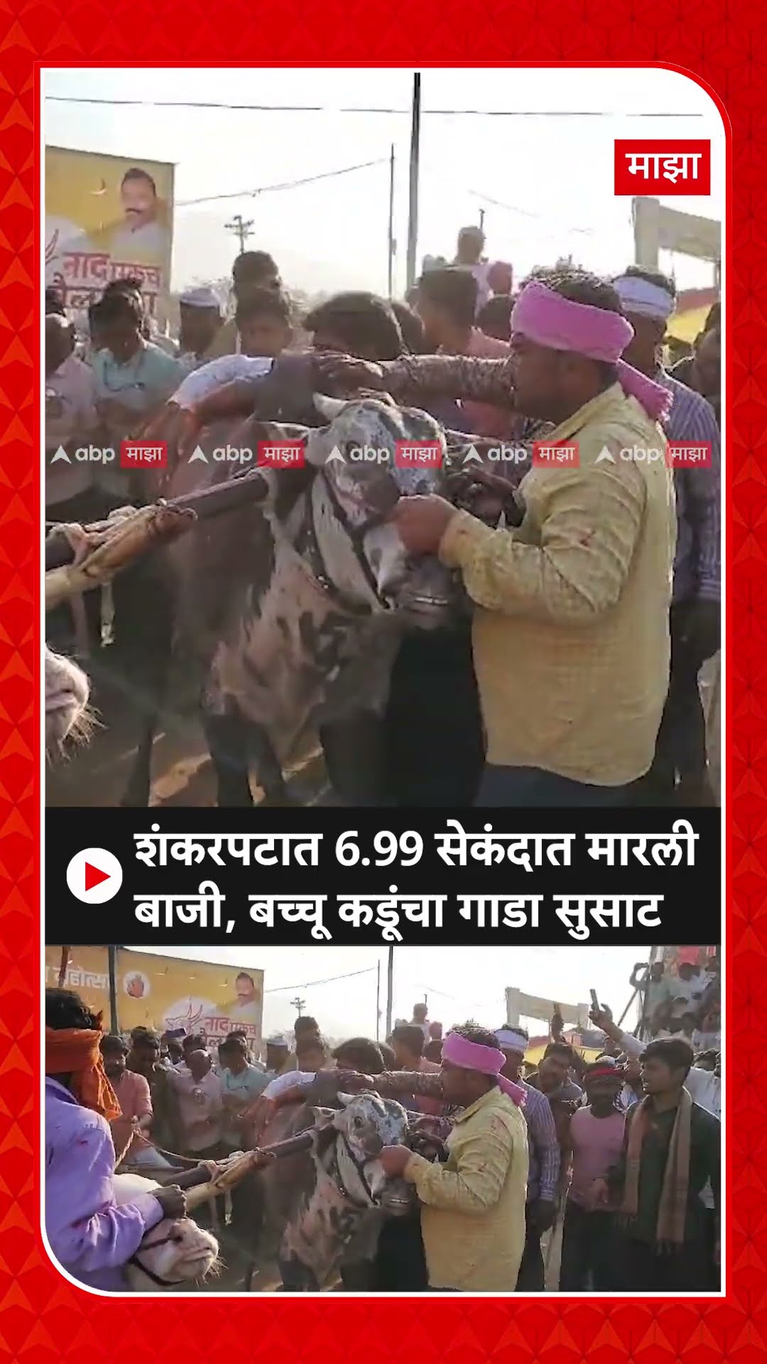 Bachchu Kadu Shankarpat | शंकरपटात 6.99 सेकंदात मारली बाजी, बच्चू कडूंचा गाडा सुसाट ABP Majha
