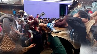 KALABAN GANASS !!! ROJO KEBO JERUM feat MAHESO SURYO JOYO @Njuwet Kulon Malang