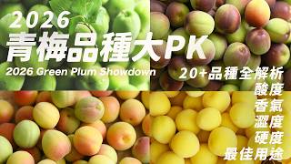 🍶 泡梅酒新手避❗️選對青梅品種 🍑 香氣直接封神⏐語音旁白 Ultimate Guide 20 Plum Varieties Tested! Pick the Best for Umeshu