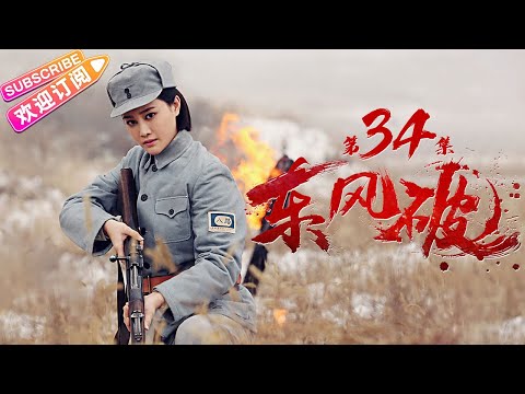 《东风破》34 热血年代战争剧 揭秘胶东“黄金部队”｜张笑君 小张铎 刘小峰 张光北 赵亮 牛丽燕 马驰【捷成华视战争悬疑剧场】