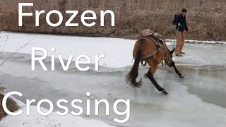 Mules Crossing Frozen River