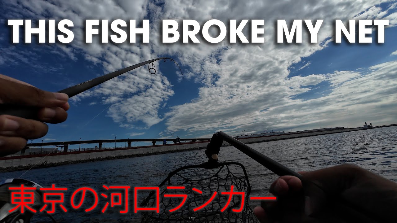 【Finally Caught a Japanese Sea Bass!!】 - 9月多摩川シーバス釣り