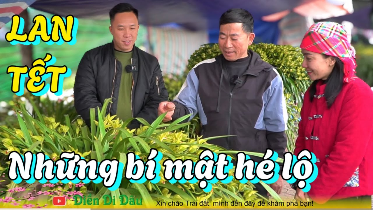 Việt Nam, Chợ Hoa Tết vùng cao và những điều ít người biết | Tet Flower Market in the highlands