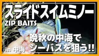 【中海シーバス】晩秋の中海でシーバス連発!?スライドスイムミノーで良型シーバスを狙う!!