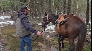 Pepsi's First Trail Ride (Ride 5) - From Unhandled to the Woods
