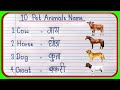 10 पालतू जानवरों के नाम | Pet Animals Name in English and Hindi | Pet Animals Name in English | 