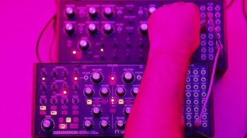 Moog Subharmonicon & DFAM no talking demo jam | ANTONIM