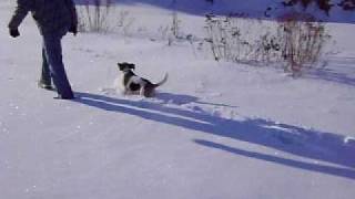 MOV01224.AVI