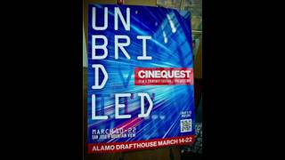 Cinequest 2026 Report