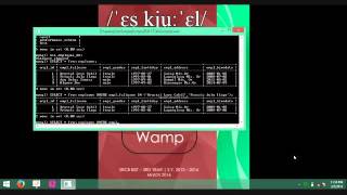 Famous SRCB BSIT DBMS2: SQL IN Wealth