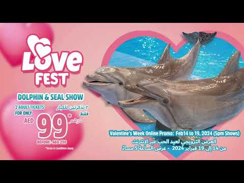 Buy 1 Get 1 Tickets on Valentine's Week | Dolphin & Seal Show