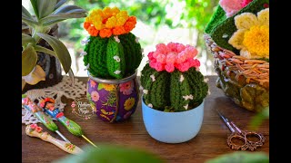 ( Cactus estrella ) Paso a paso en crochet