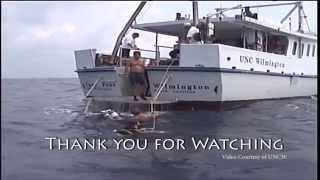 The importance of scientific diving