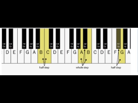 Whole and Half steps on the piano - YouTube