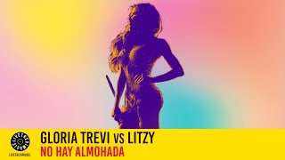 Gloria Trevi vs Litzy | No hay almohada (Mashup Remix) | LTM