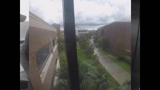 1st UCF Tailgate of 2016 Wealth
