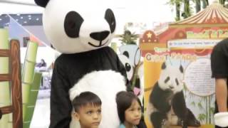 Grolier Edu-Fiesta 'The Panda'