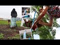 Gardening Through The Years | DIY garden projects + Caring for the Community Garden etc....vlog 156
