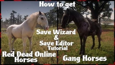 RDR2 | How to get Gang Horses & Red Dead Online Horses | Save Wizard Tutorial