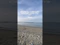 Bible verse #john #bible #verseoftheday