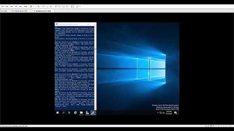 Verifying the docker volume on windows server 2019