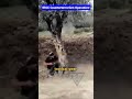 IRGC Kills 6 Militants Near Pakistan Border | Counterterrorism Operation