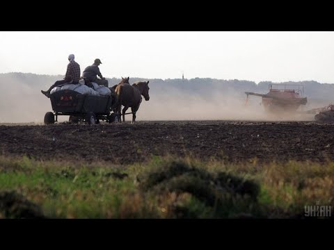 Ukraina zaczyna wielka wyprzedaz ziemi? ile zaplacisz za 1 ha?