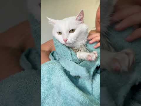 СОФА ОПЯТЬ ЗАПАЧКАЛАСЬ😱