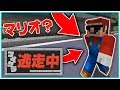 マリオが逃走中のハンターになった結果 恐ろしいことに マイクラ逃走中 マリオが逃走中のハンターになった結果 恐ろしいことに マイクラ逃走中
