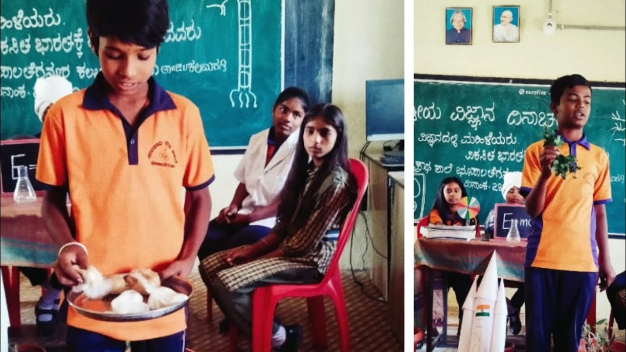 National Science day celebration 🎉 GHS BHUPAL TEGNUR 