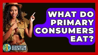 What Do Primary Consumers Eat? - Ecosystem Essentials