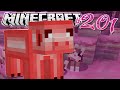 Minecraft | CANDY PIG PROBLEM.. | Diamond Dimensions Modded Survival #201
