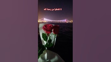 #قرآن #explore #reels #تلاوة_خاشعة #لاإله_الاالله #trending #fypシ゚viral #راحة_نفسية 🌸🎧🌸