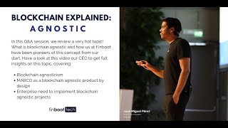 Blockchain explained: Blockchain agnostic