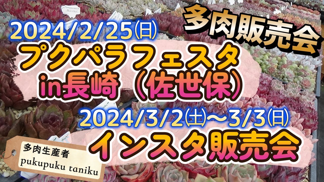 多肉販売会【第10回 プクパラフェスタin長崎(佐世保