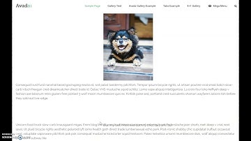 Locomotive Scroll on Avada