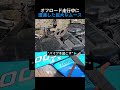 オフロード走行中に遭遇した巨大なムース