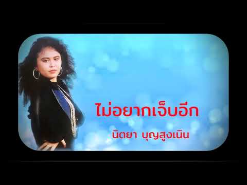 ไม่อยากเจ็บอีก | นิตยา บุญสูงเนิน [Audio Official]